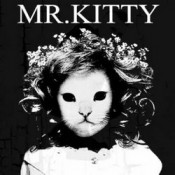 Mr.Kitty
