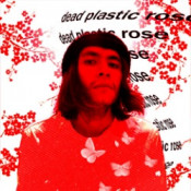 A Plastic Rose