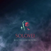 Аккорды Solovei