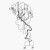 Аккорды Zack Villere